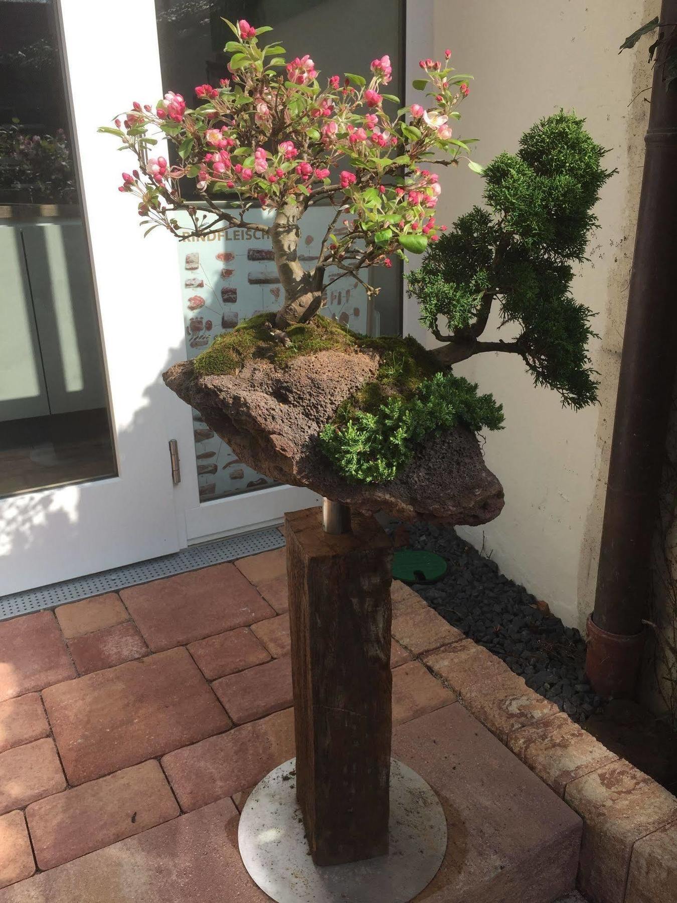 Alter Winzerhof Weisenheim Am Berg E.K. Hotel Ngoại thất bức ảnh